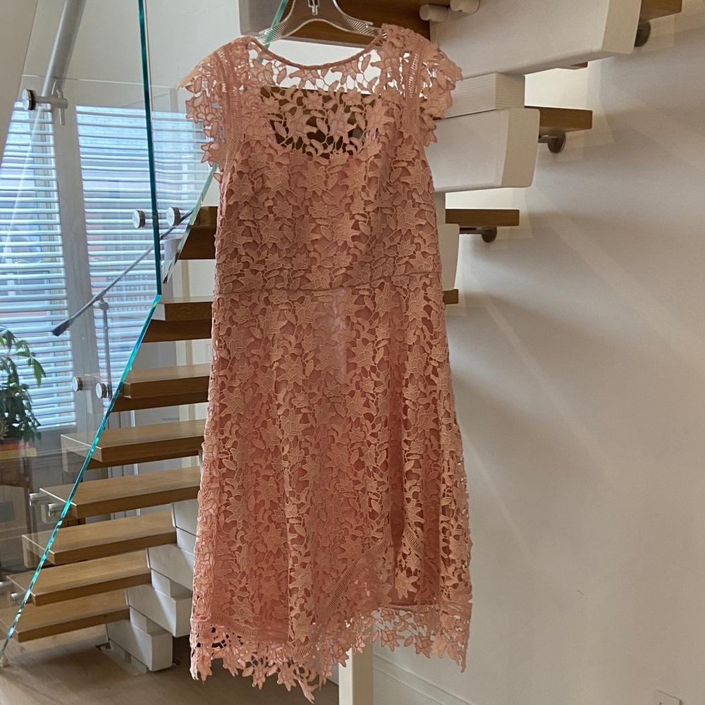 Eliza J Pink Lace Mini Dress
